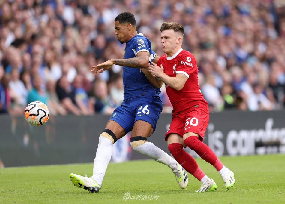 挥德布劳内 挥德布劳内