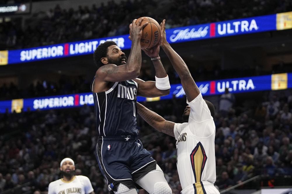 最迷人的象 最迷人的象